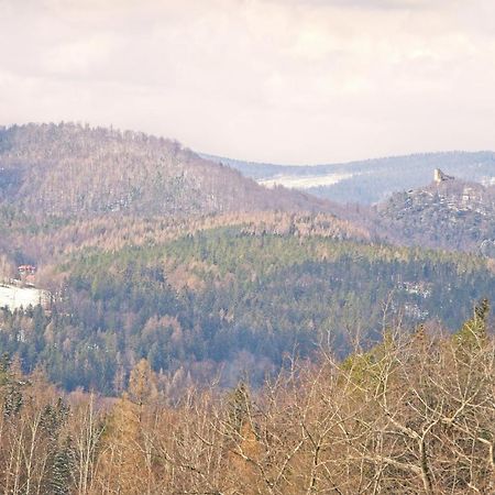 Sosnówka Willa "Sniezna Kopa"-Agroturystyka Pro Zdrowotnaヴィラ エクステリア 写真