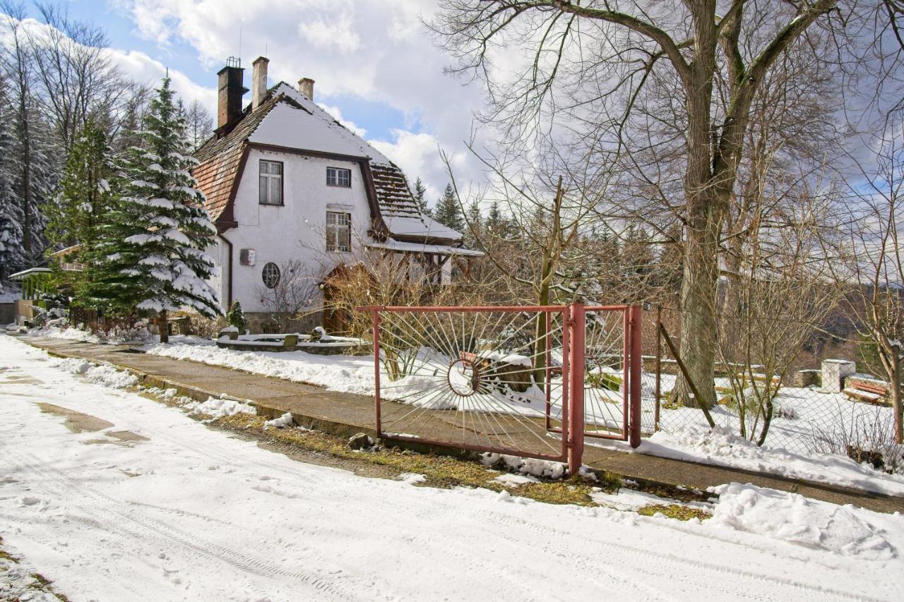 Sosnówka Willa "Sniezna Kopa"-Agroturystyka Pro Zdrowotnaヴィラ エクステリア 写真