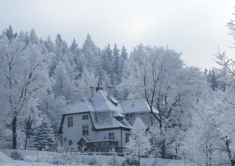 Sosnówka Willa "Sniezna Kopa"-Agroturystyka Pro Zdrowotnaヴィラ エクステリア 写真